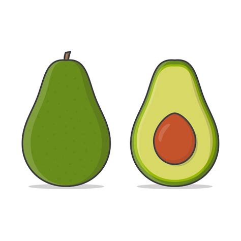 Premium Vector Avocado Fruit Illustration