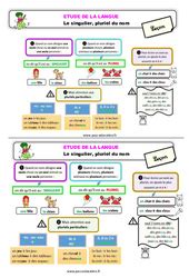 Accord Du Nom Pluriels Particuliers Eme Primaire Exercice