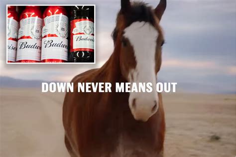 Budweiser Super Bowl 2022 commercial shows Clydesdale comeback