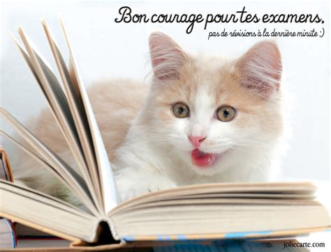 Cartes Virtuelles Bon Courage Examen Joliecarte Voeux Anniversaire