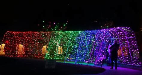 Christmas Lights Festival and Celebration in Hudson Gardens Stock Image - Image of colorful ...