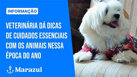 Veterinária dá dicas de cuidados essenciais os animais nessa época