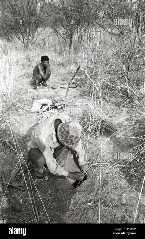 Bushman Hunting San People Traditional Life 21 Century Stock Photo Alamy