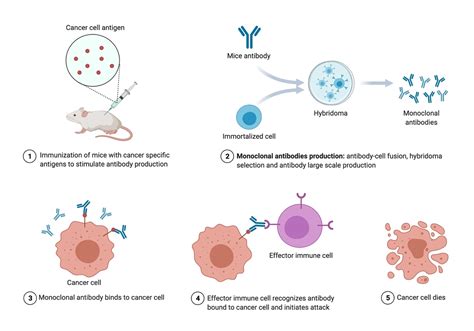 Investigating Conventional And Novel Methods For Treatment Of Cancer