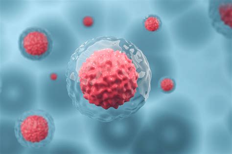 Decoding Stem Cell Treatments Sources Contrasts And Prp In Regenerative Medicine