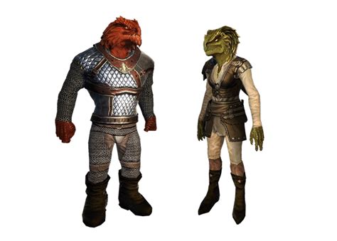 Dragonborn Neverwinter Wiki Fandom