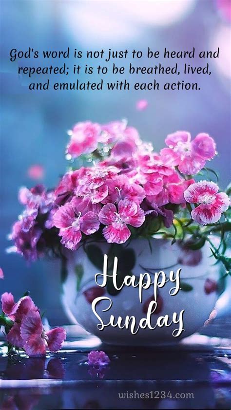 200 Happy Sunday Sunday Blessings Quotes Images Wishes Artofit