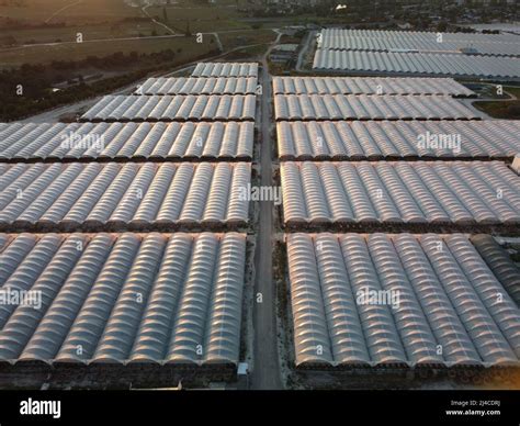 Vista Aérea De Drones De Enormes áreas De Invernadero Para El Cultivo