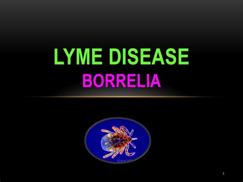 Lyme Disease Borrelia Ppt Download