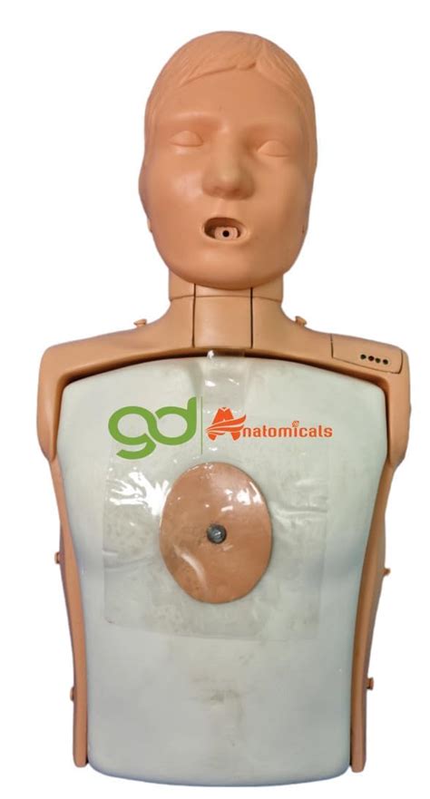 Buy GD ANATOMICALS Adult CPR And Intubation Training Manikin Half Body