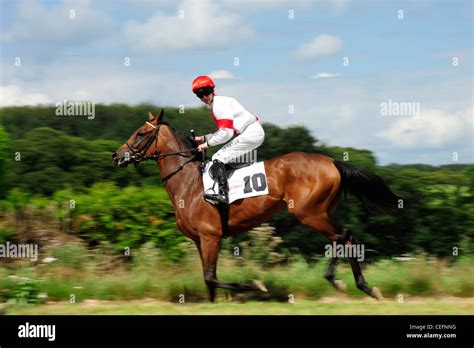 Jockey Rides Galloping Racehorse Stock Photo Alamy