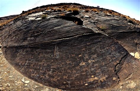 Prehistoric rock art - Stock Image - C021/0370 - Science Photo Library