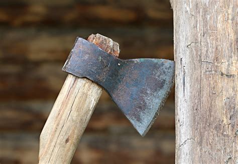 Fotos Gratis Rama Agudo Ala Madera Herramienta Construcción