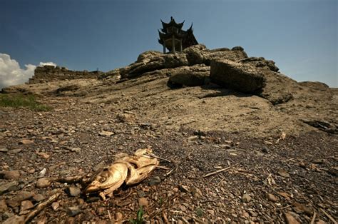 China Advierte De Una Grave Amenaza A La Cosecha Por La Ola De Calor Récord