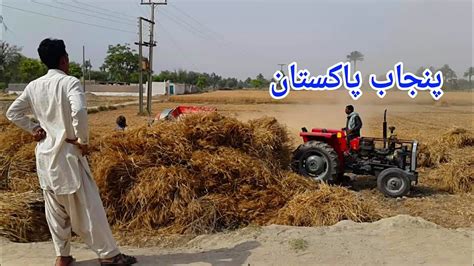 Tour Of Pakistani Punjab Village Rural Life Youtube