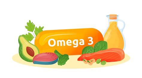 Omega 3 Food Sources Cartoon Vector Illustration Supplement White