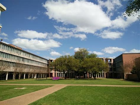 Rice university Houston,Tx stock photo. Image of trees - 127427774