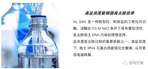 mNGS应用推荐HL SAN耐高盐核酸酶高效去除宿主DNA CSDN博客