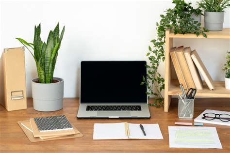 10 Must-have Artificial Indoor Plants for Office Desks - Feelreal ...