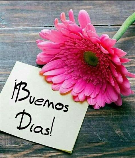 Buenos días Good morning greetings Good morning quotes Good day