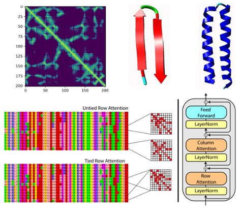 Deep Learning On Computational Biology And Bioinformatics Tutorial