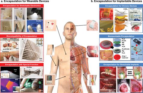 Encapsulation For Wearable And Implantable Platform Bioelectronics Download Scientific Diagram