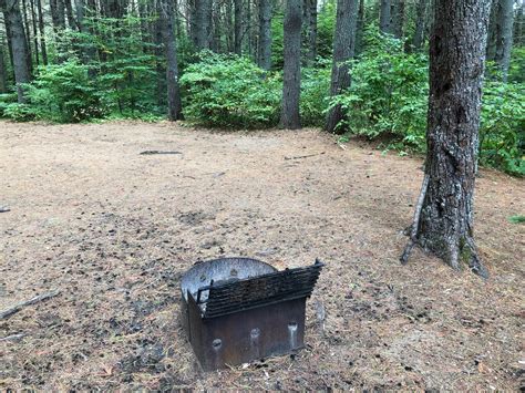 The Campsites Pog Lake Campground Algonquin Ontario Provincial Park