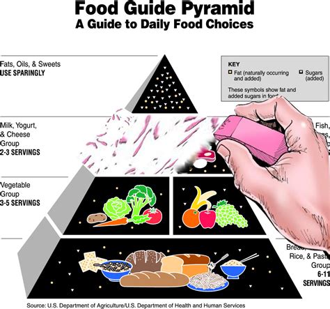 Usda Food Pyramid Corrected Version Vegan Meme Rplantbasedmemes