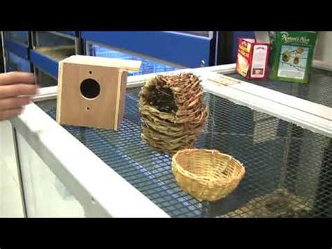 How to Build Nest Boxes for Budgies - YouTube