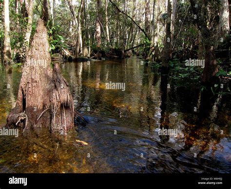 headwaters  turner river stock photo alamy