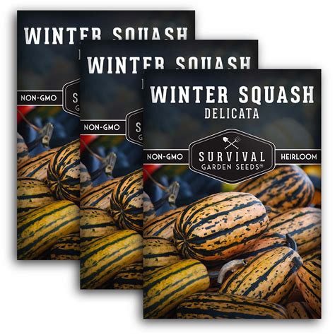 Delicata Winter Squash Seeds for Planting - SurvivalGardenSeeds