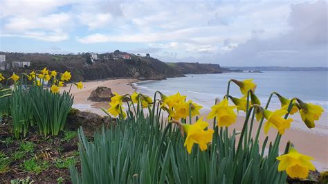 Tenby Beach Sea - Free photo on Pixabay - Pixabay