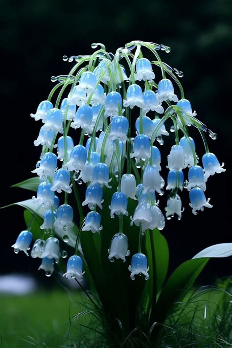 A Bunch Of Blue And White Flowers With Water Droplets On It S Petals In