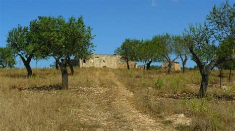 ¿qué Es El Polígono Y La Parcela De Una Finca