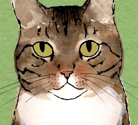 Tabby Print Tabby Cat Illustration Tabby Drawing Digital Etsy