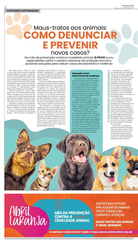 O Povo Maus Tratos Aos Animais Como Denunciar E Prevenir Novos Casos