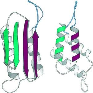 A New Case of Bovine Spongiform Encephalopathy (“Mad Cow” Disease) in ...