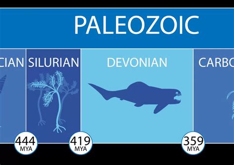 Paleozoic Timeline Smithsonian Ocean