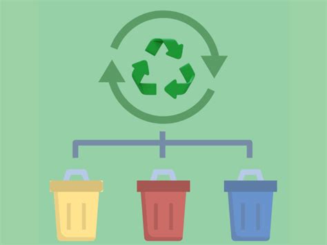 Waste Management and Recycling: What You Should Know