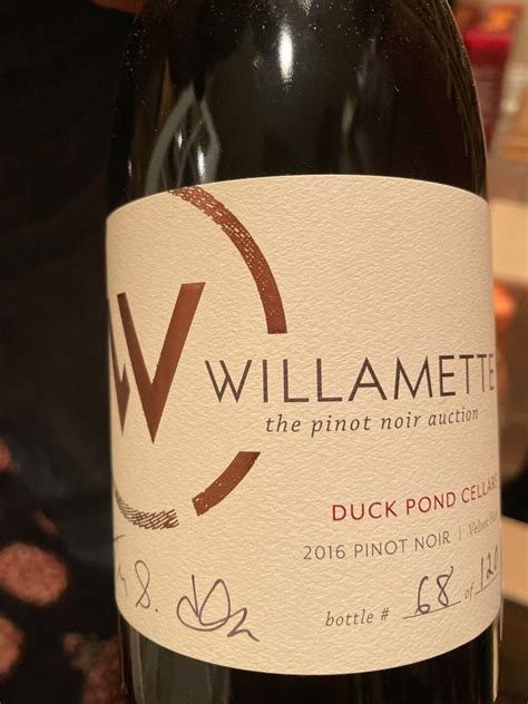 2021 Duck Pond Cellars Pinot Noir Willamette Valley USA Oregon