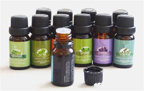 C Mo Utilizar Los Aceites Esenciales Botanical Online