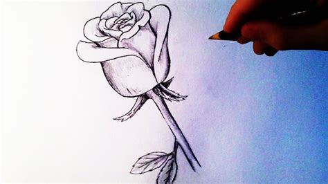 Dibujos De Rosas A Lapiz Faciles