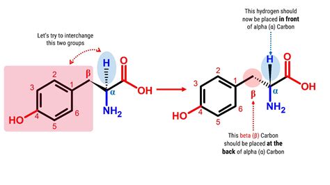 Tyrosine Duluth Labs