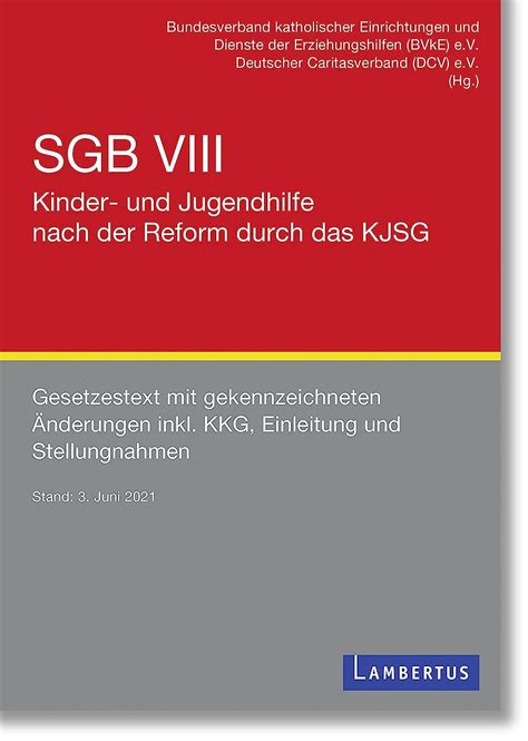 Sgb Viii Kinder Und Jugendhilfe Nach Der Reform Durch Das Kjsg