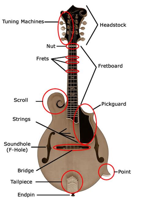 Mandolin Instruction - Junior Appalachian Musicians