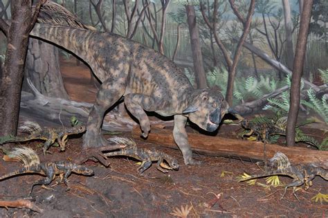 First Preserved Fossil Of Psittacosaurus Dinosaur With Umbilical Scar