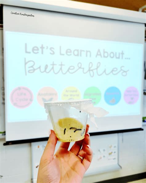 7 Simple Butterfly Activities for Kindergarten