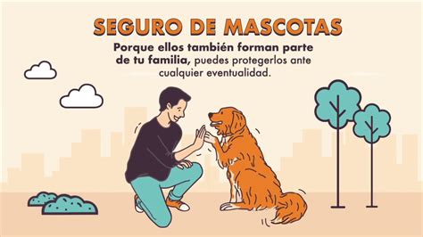 Sabías qué existe un Seguro para proteger a tu mascota YouTube