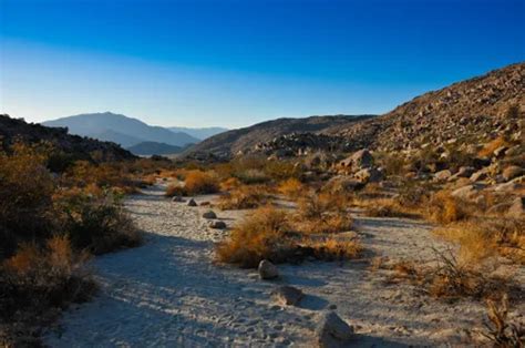 10 Best Hikes and Trails in Anza-Borrego Desert State Park | AllTrails