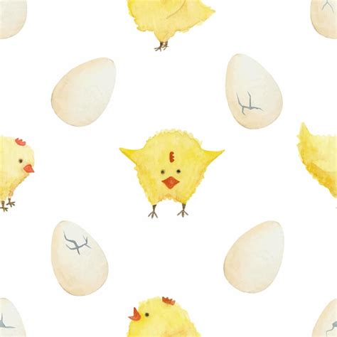 White Chicken Chicks Vectors And Illustrations For Free Download Freepik